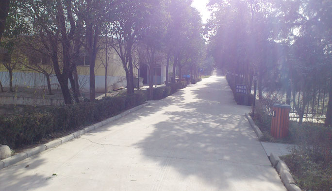 20130409061028909.jpg